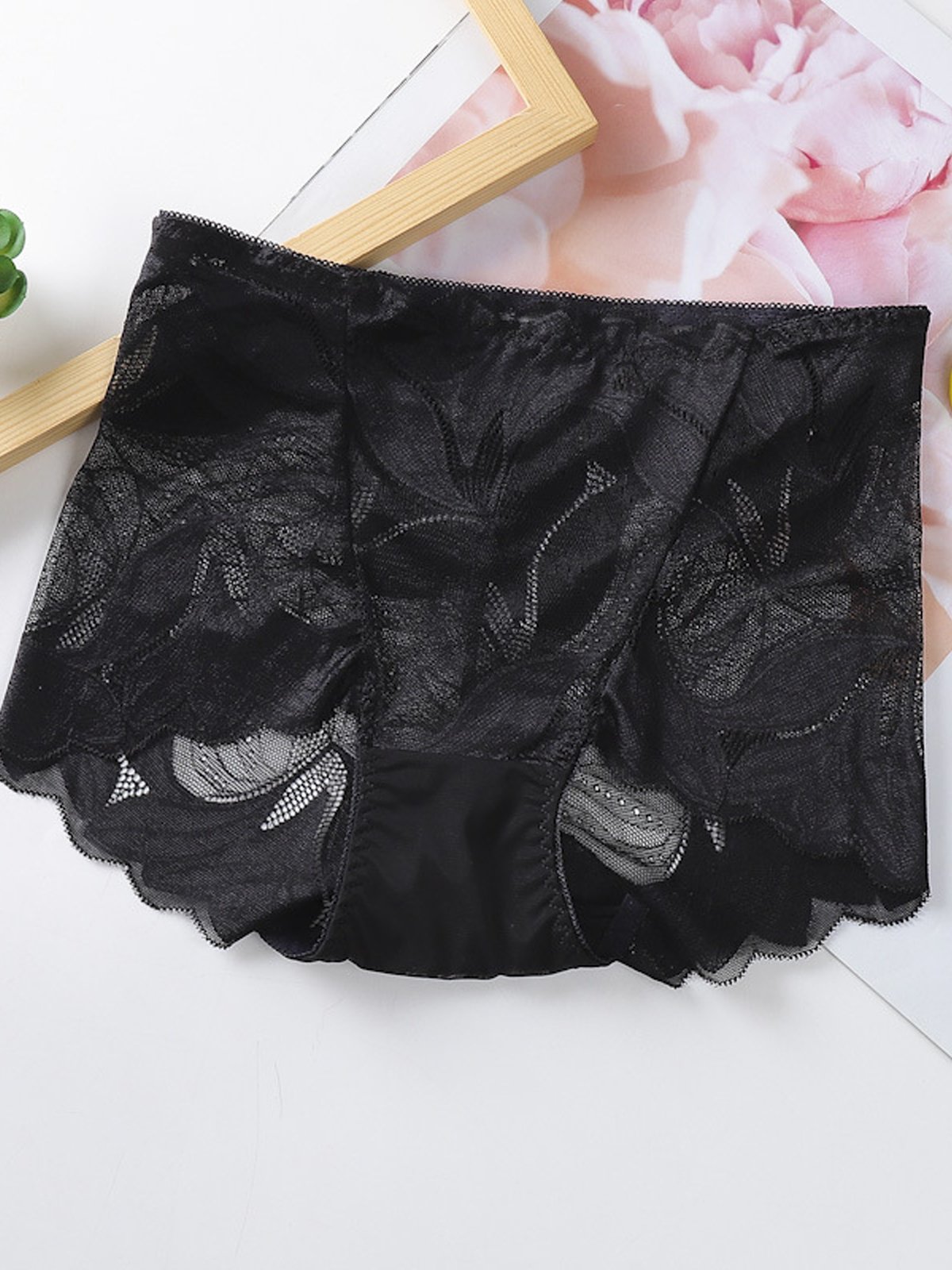 Culottes Sexy Plain Toutes Les Saisons Dentelle Micro-élasticité Faire la navette Culottes Régulier pour Femmes