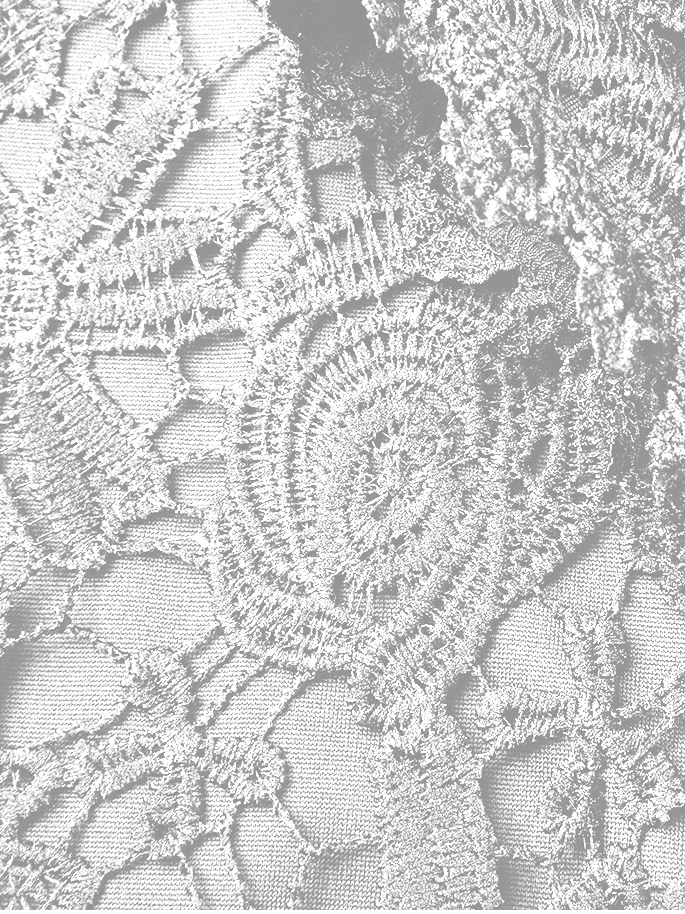 Chemises Femmes Décontracté Plain Printemps / Automne Polyester Col Carré Aucune élasticité Dentelle Manches Longues Régulier
