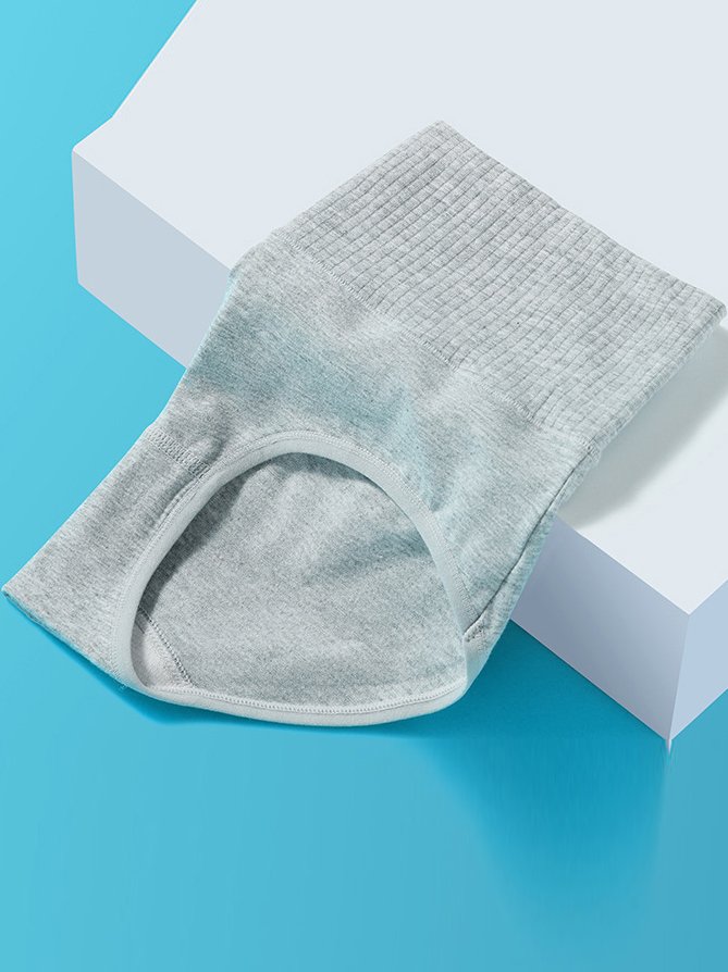 Culottes Femmes Décontracté Plain Toutes Les Saisons Coton à Haute Élasticité Quotidien Culottes Standard Régulier