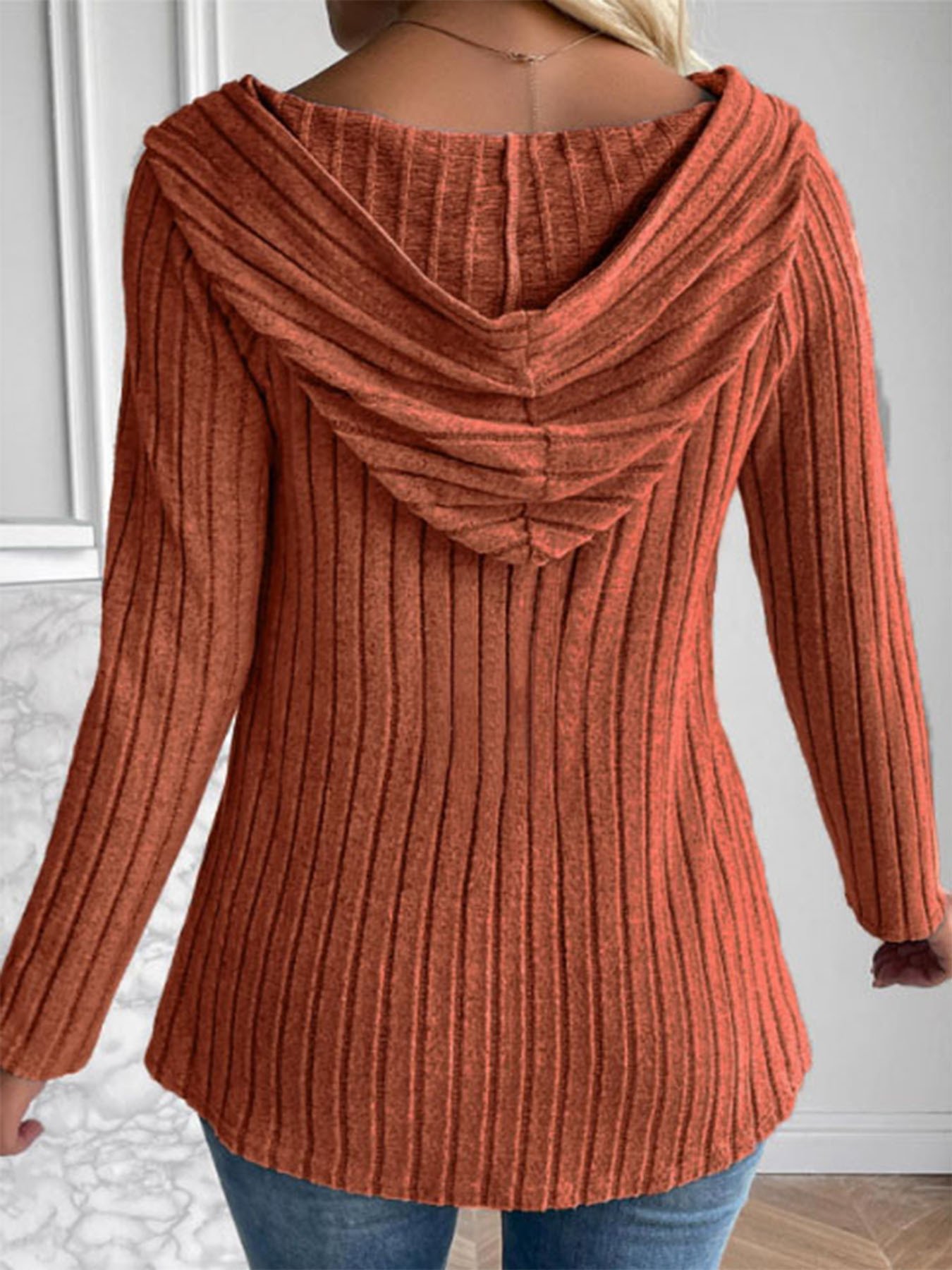 Sweat-shirt à Capuche Manches Longues Régulier Bloc de Couleur Blouson pour Femmes