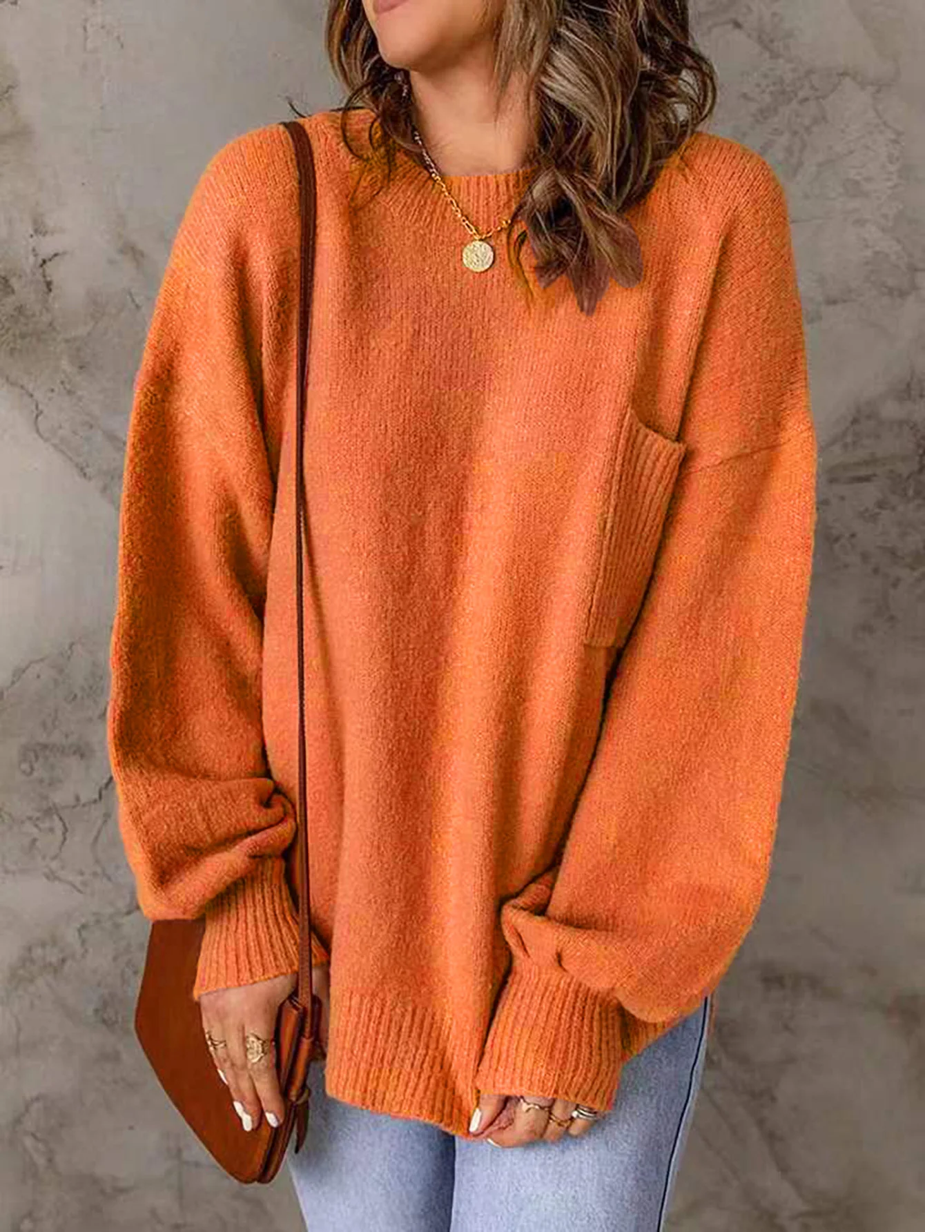 Pulls Décontracté Plain Printemps / Automne Micro-élasticité Quotidien Manches Longues Col Rond Droit Régulier pour Femmes
