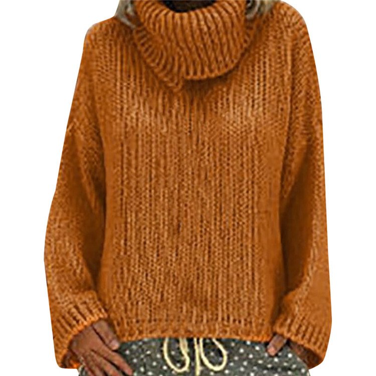 Pulls Décontracté Plain Printemps / Automne Naturel Quotidien Manches Longues Col Rond Régulier Droit pour Femmes