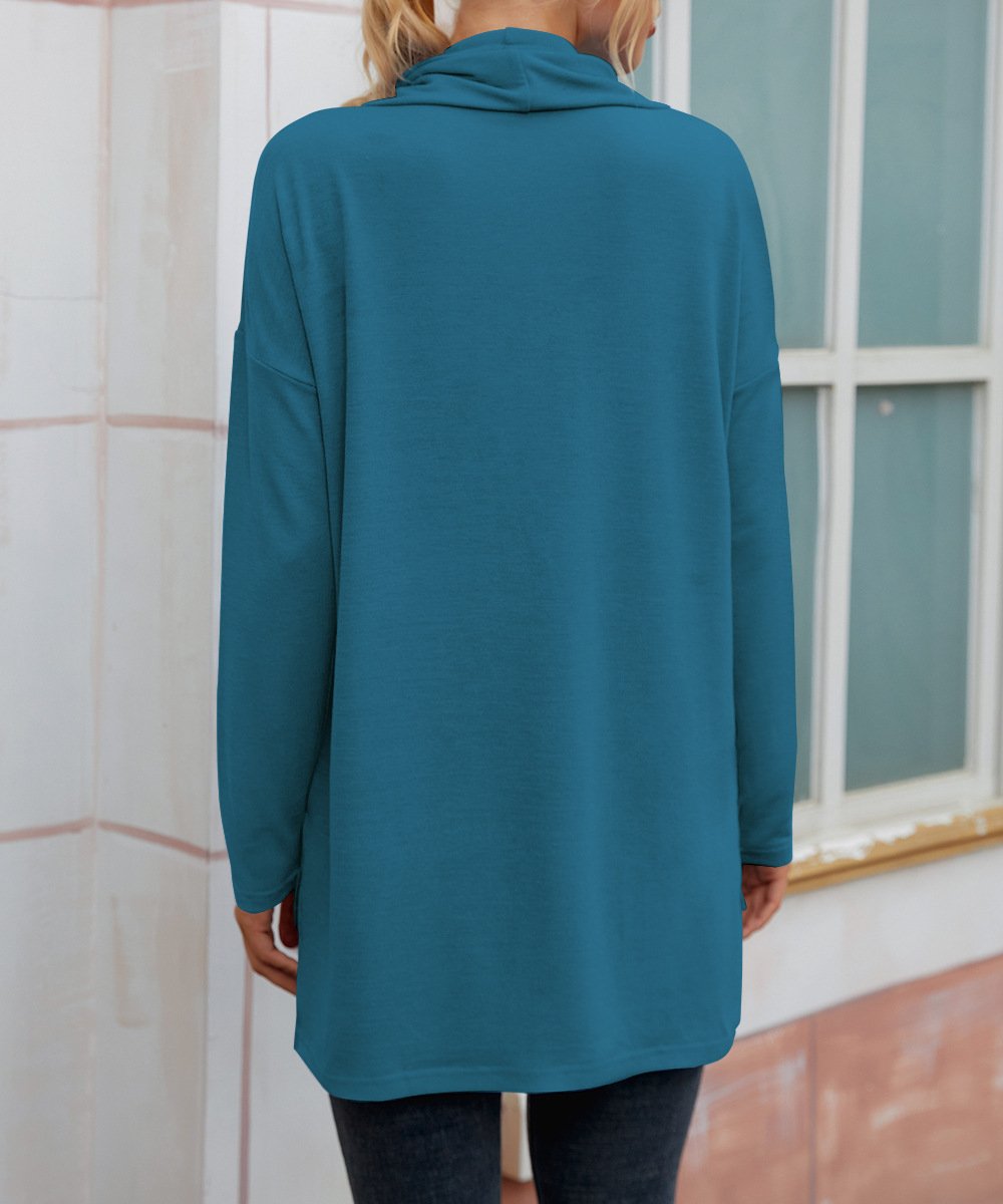 Chemisiers1 Femmes Décontracté Plain Printemps / Automne Micro-élasticité Ample Jersey Col Roulé Droit Régulier