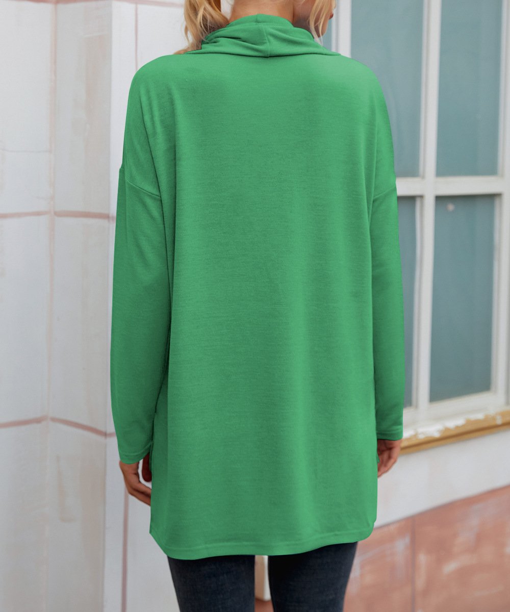 Chemisiers1 Femmes Décontracté Plain Printemps / Automne Micro-élasticité Ample Jersey Col Roulé Droit Régulier