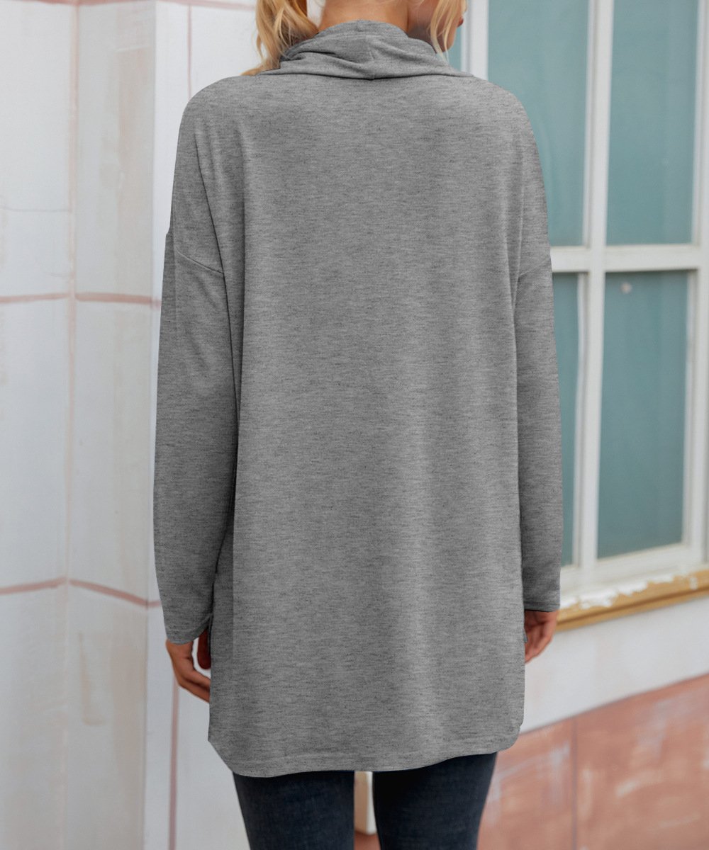 Chemisiers1 Femmes Décontracté Plain Printemps / Automne Micro-élasticité Ample Jersey Col Roulé Droit Régulier