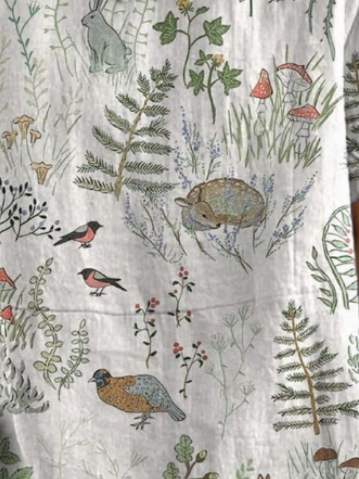 Blouses Simple Plantes Été Polyester Aucune élasticité Quotidien Demi Manche Col Châle Régulier pour Femmes