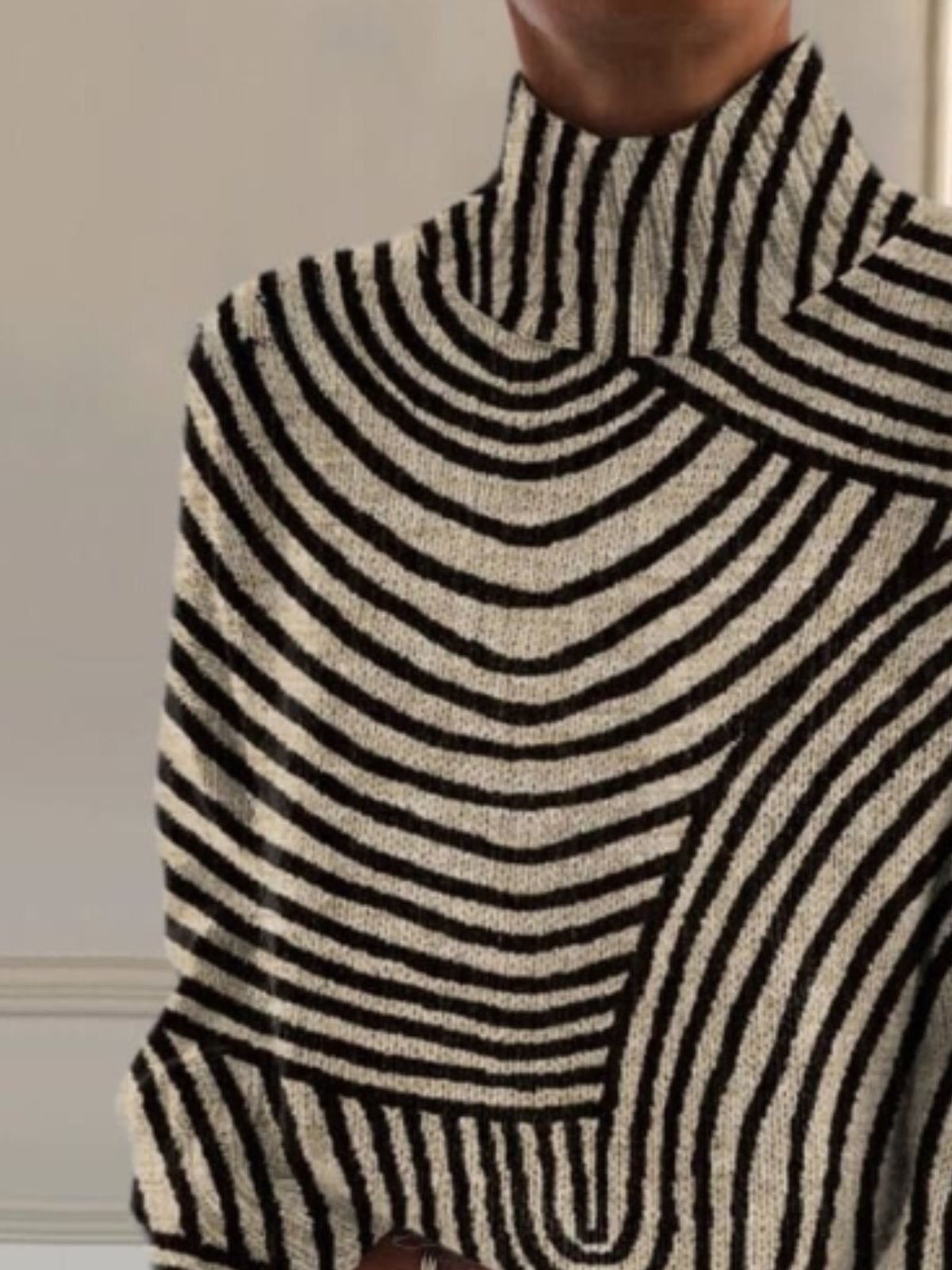 Pulls Femmes Géométrique Vacances Printemps / Automne Polyester Micro-élasticité Domestique Col Roulé Régulier Régulier