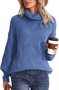 Pulls Femmes Rayé Décontracté Hiver Poids lourd Quotidien Col Roulé Laine/Tricot Long Droit