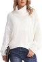 Pulls Femmes Rayé Décontracté Hiver Poids lourd Quotidien Col Roulé Laine/Tricot Long Droit