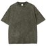 T-shirts Simple Plain Été Aucune élasticité Ample Manches Courtes Col Rond Régulier Droit pour Femmes