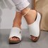 Sandales Femme Décontracté Plain Été Zip Quotidien Cuir Cuir Talon Bas Toit ouvert